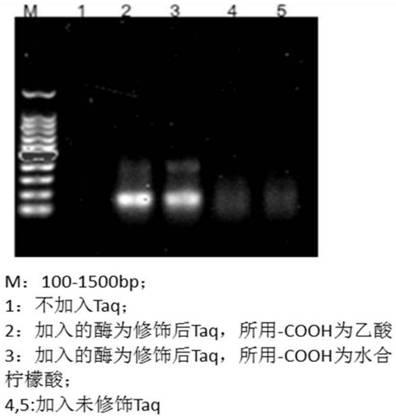 Chemical modification method of DNA (Deoxyribonucleic Acid) polymerase