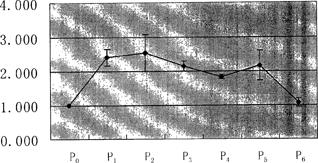 Allogenic tissue engineered cartilage and its application