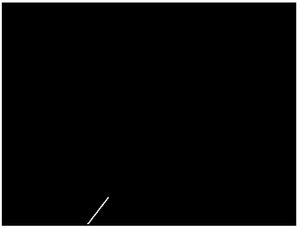 Lane detection method based on adaptive region of interest