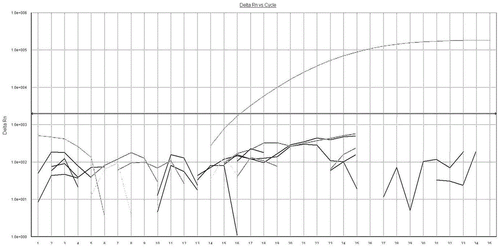 AS-PCR (allele-specific polymerase chain reaction) primer design method, gene mutation detection method and kit