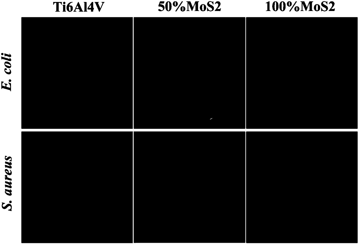 Preparation method of HA/MoS2 biological composite coating, with photocatalytic activity, on surface of titanium alloy