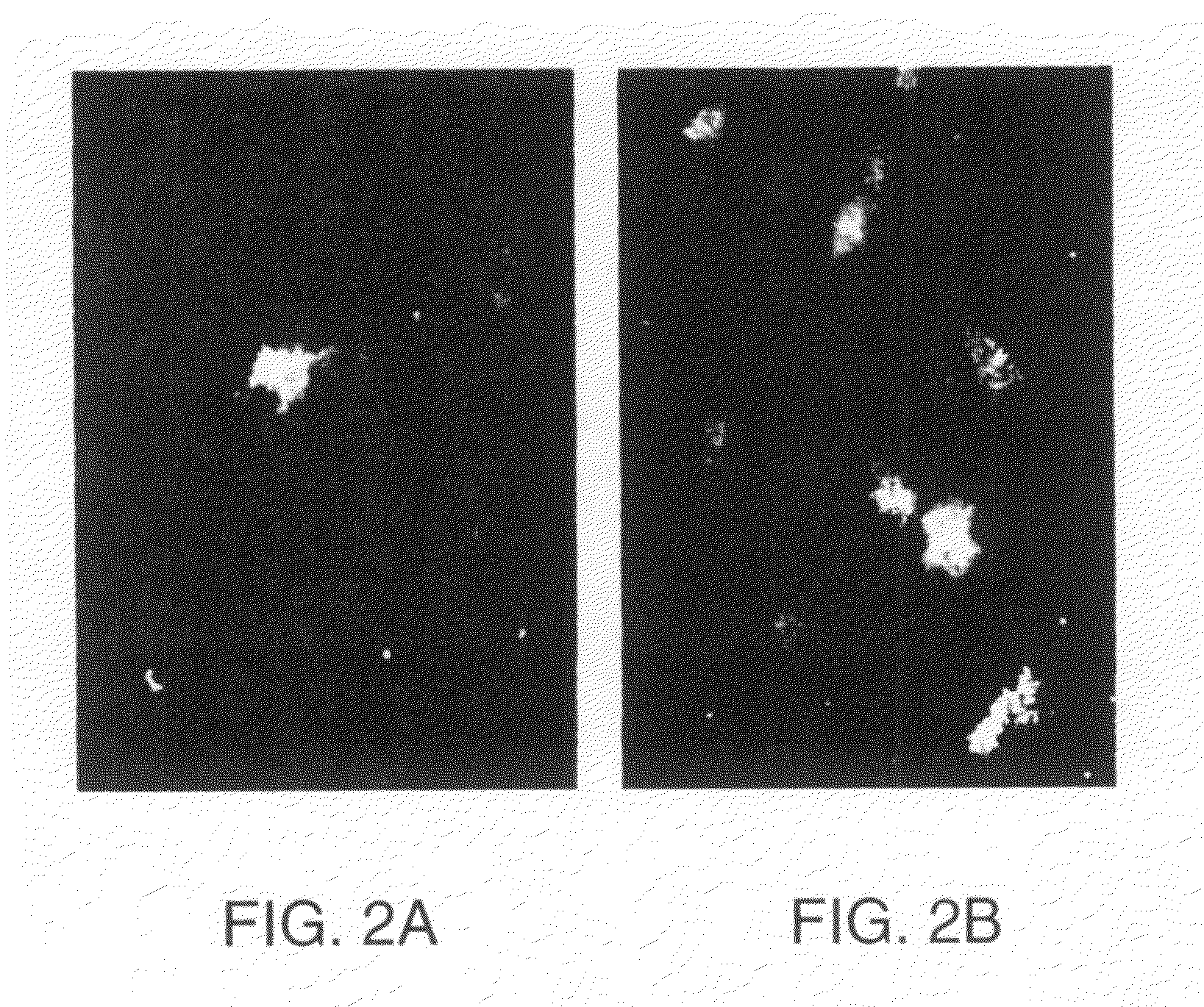 Soluble inhibitors of vascular endothelial growth factor and use thereof