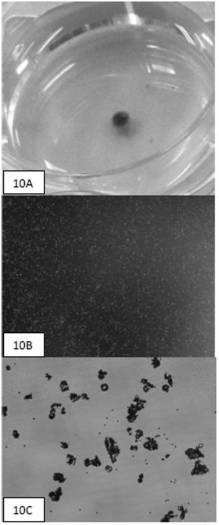 Cell enriching, separating and extracting method and instrument and single cell analysis method