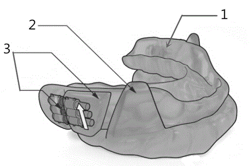 Oral cavity device for restraining snores