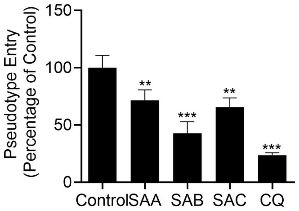 Pharmaceutical application of combination of salvianolic acid A, salvianolic acid B and salvianolic acid C for resisting 2019-nCov virus and medicine