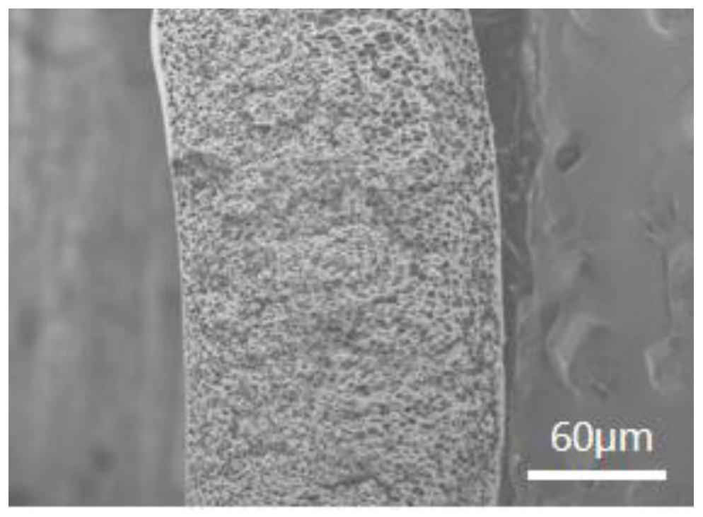 A kind of fluoropolymer flat film and its preparation method