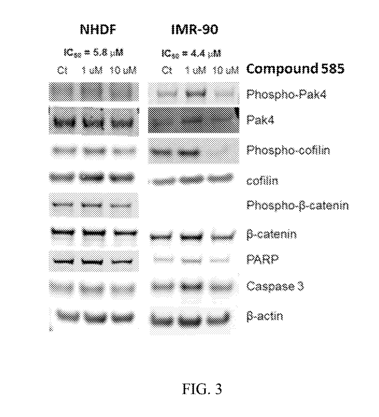 Substituted benzofuranyl and benzoxazolyl compounds and uses thereof