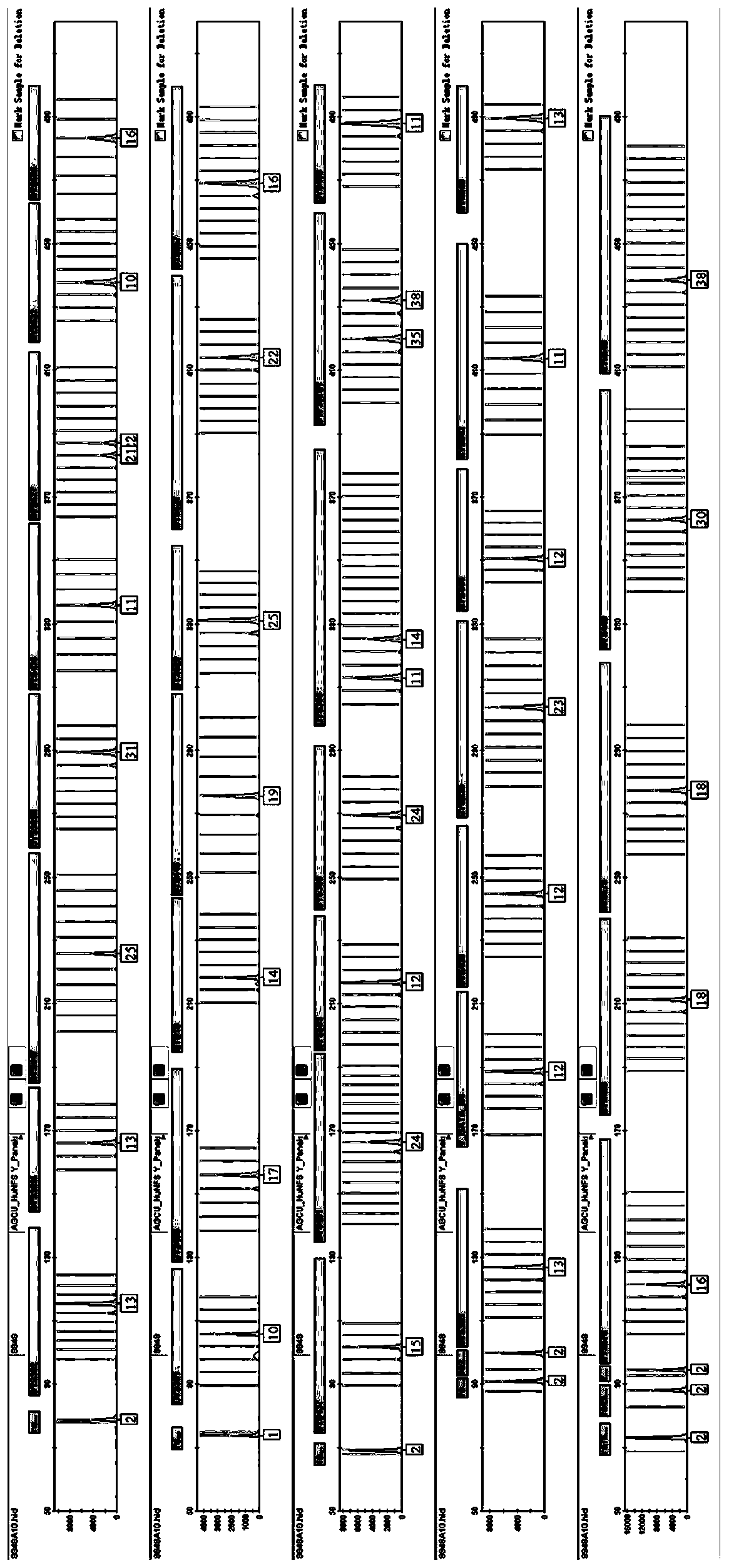 Fluorescence labeling composite amplification kit for human Y chromosome STR loci and InDel sites and application of thereof