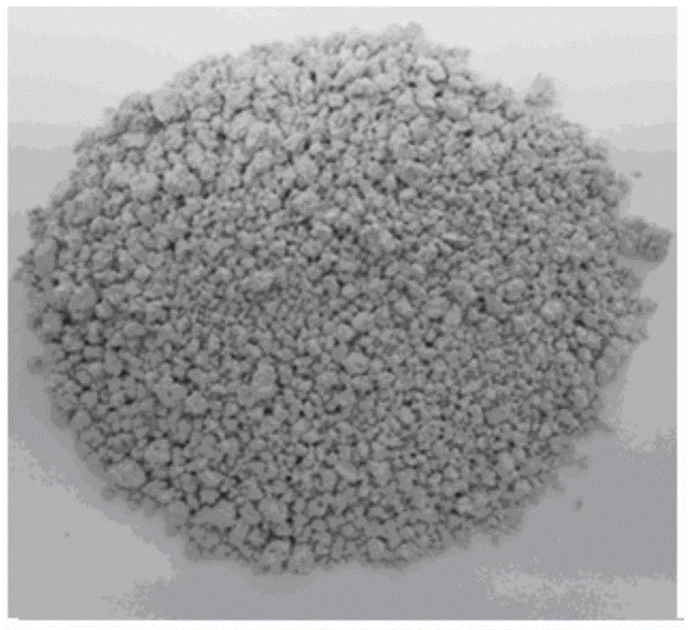 Polymer catalytic material with metal porous three-dimensional network structure and preparation method thereof