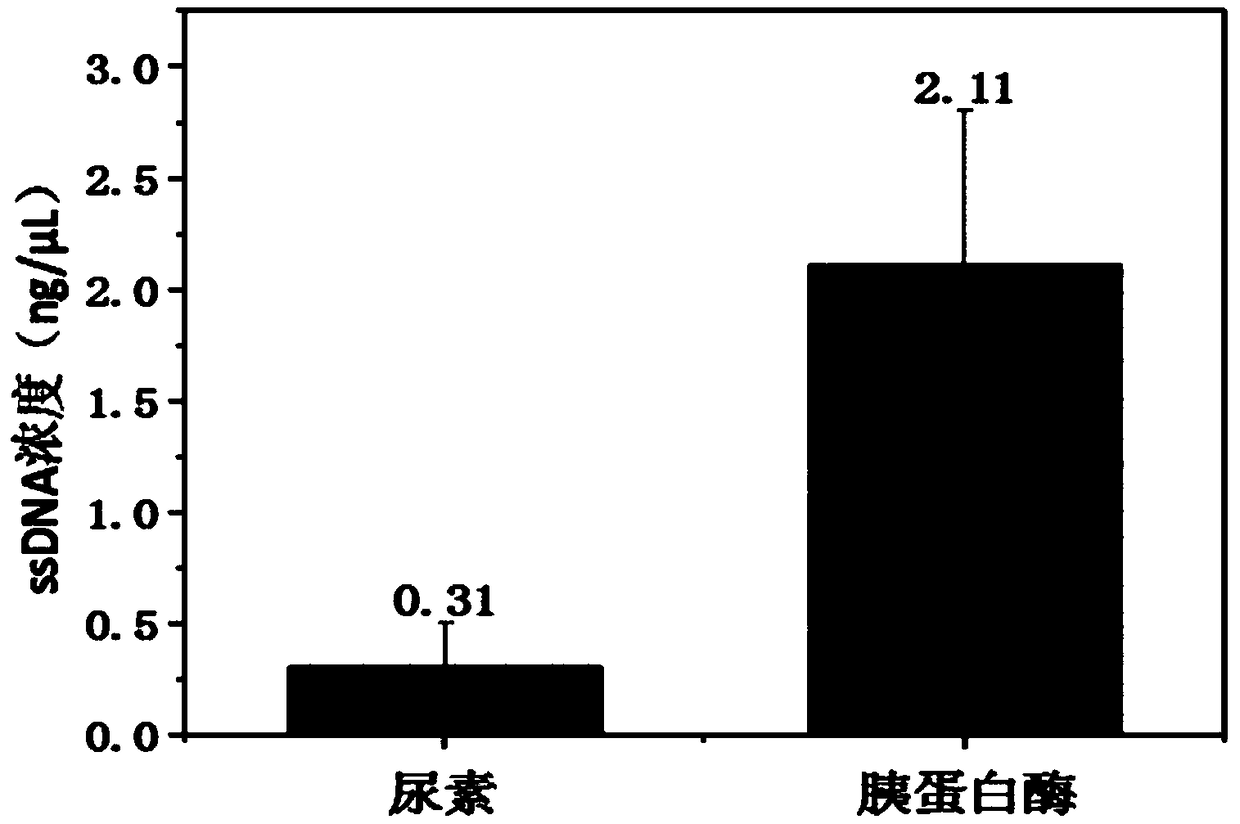 Screening method for protein nucleic acid aptamer