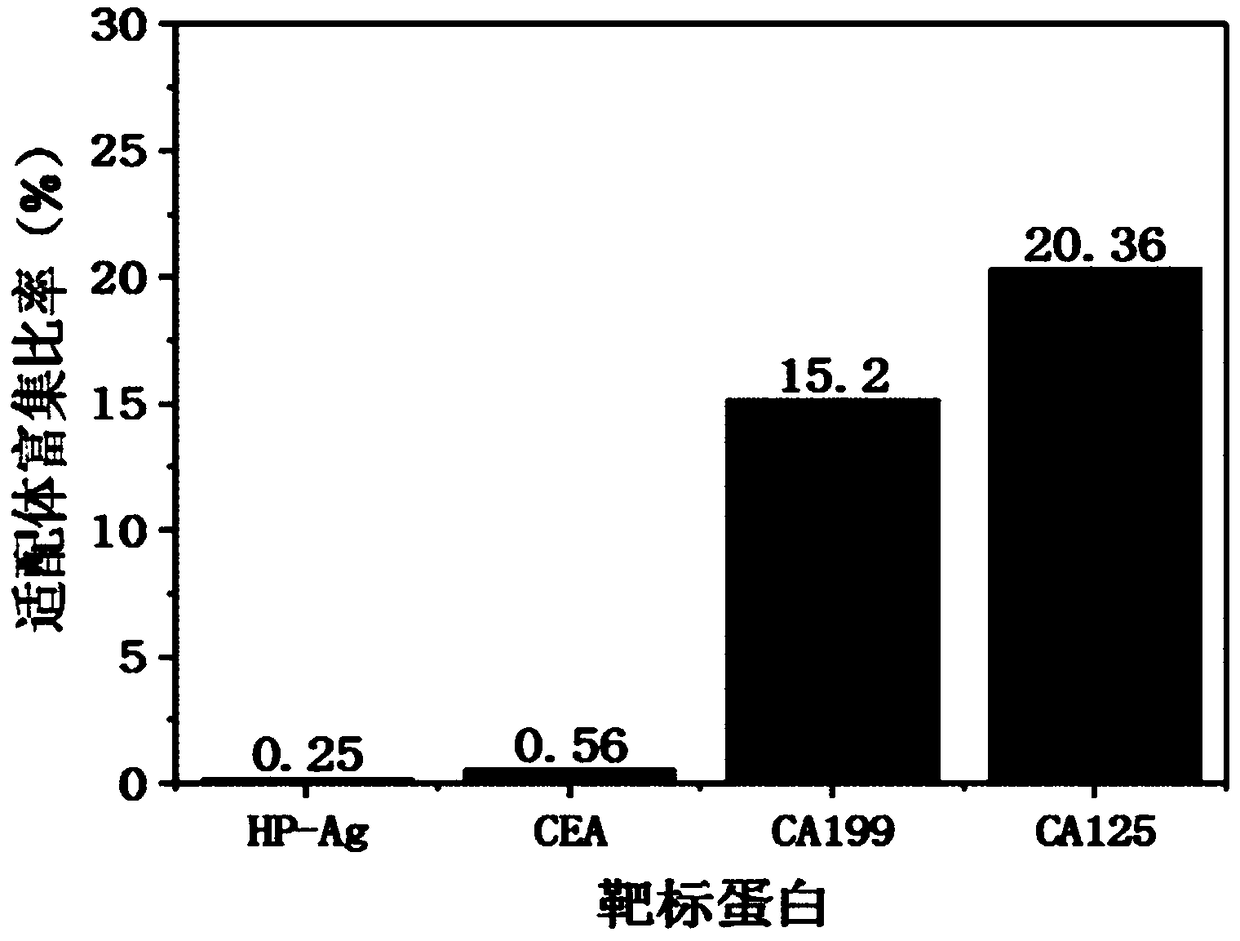 Screening method for protein nucleic acid aptamer