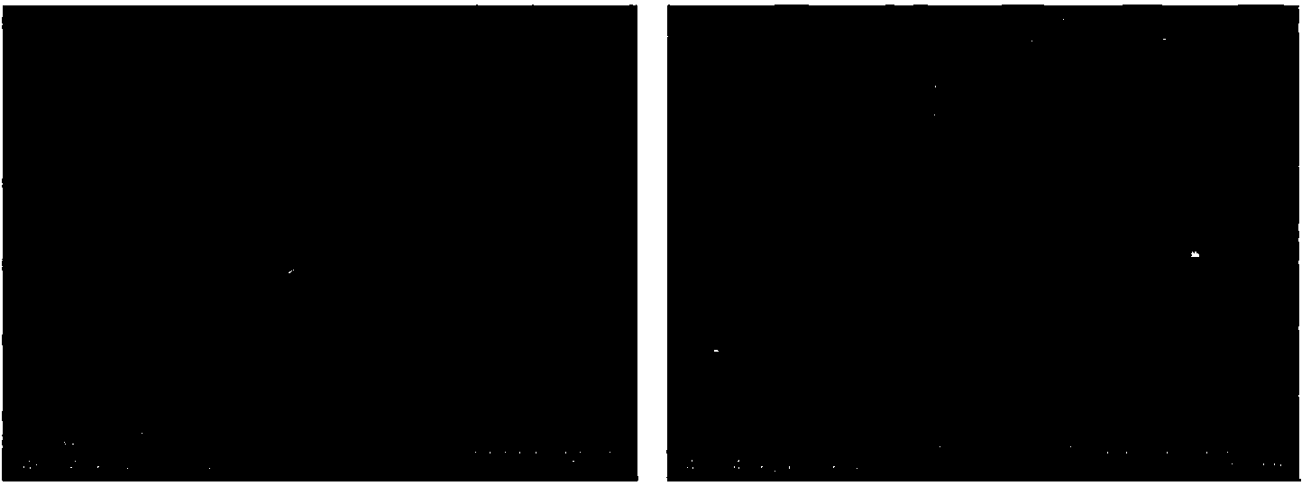 Monocrystal silicon inverted pyramid array structure suede, and preparation method and application thereof