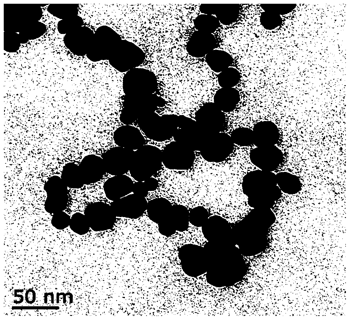 Composition for inhibiting streptococcus mutans and application of composition