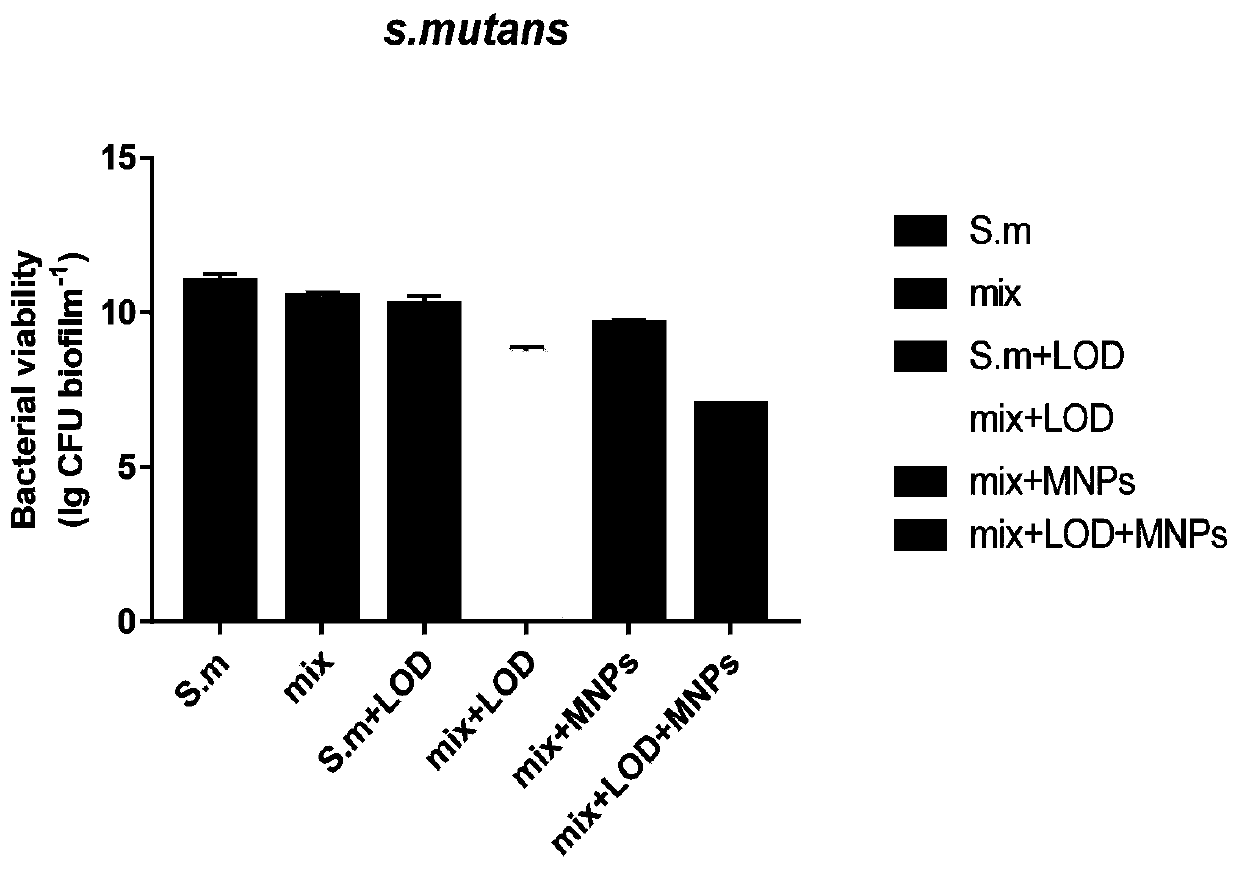 Composition for inhibiting streptococcus mutans and application of composition