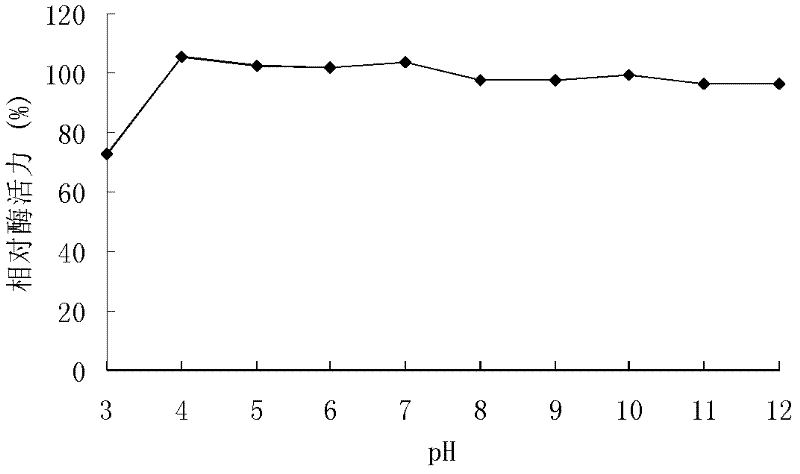 High temperature alkaline xylanase XYN10A, gene thereof and application thereof