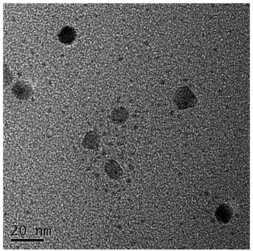 Method for inducing directional differentiation of neural stem cells into neuron cells by Gd:Fe3O4@RA nanoparticles