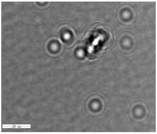 Method for inducing directional differentiation of neural stem cells into neuron cells by Gd:Fe3O4@RA nanoparticles