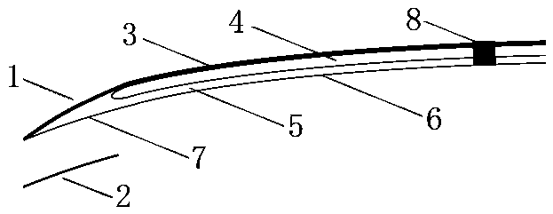 Protective exoskeleton plaster for cranial bone absence