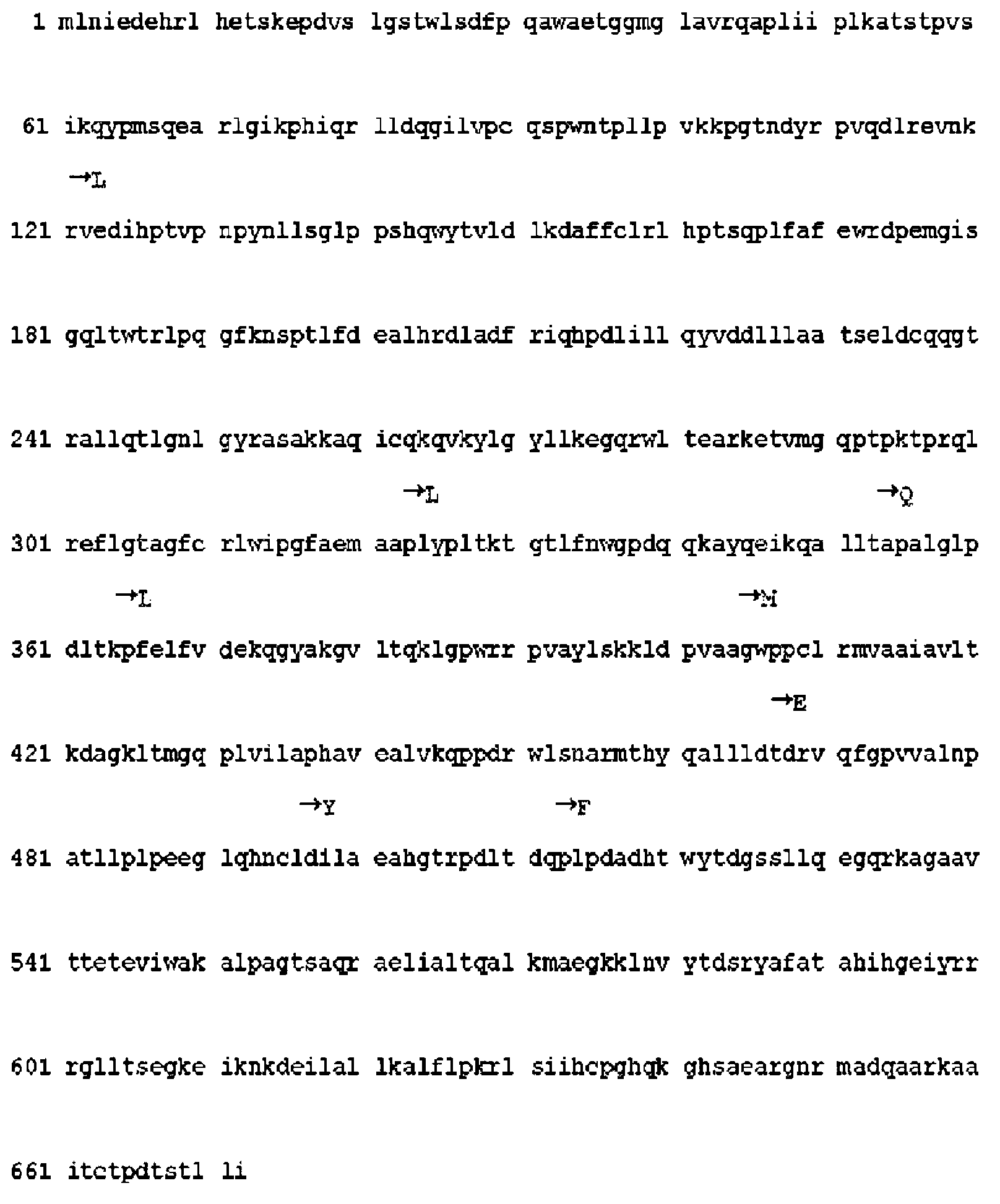 Reverse transcriptase having improved thermostability