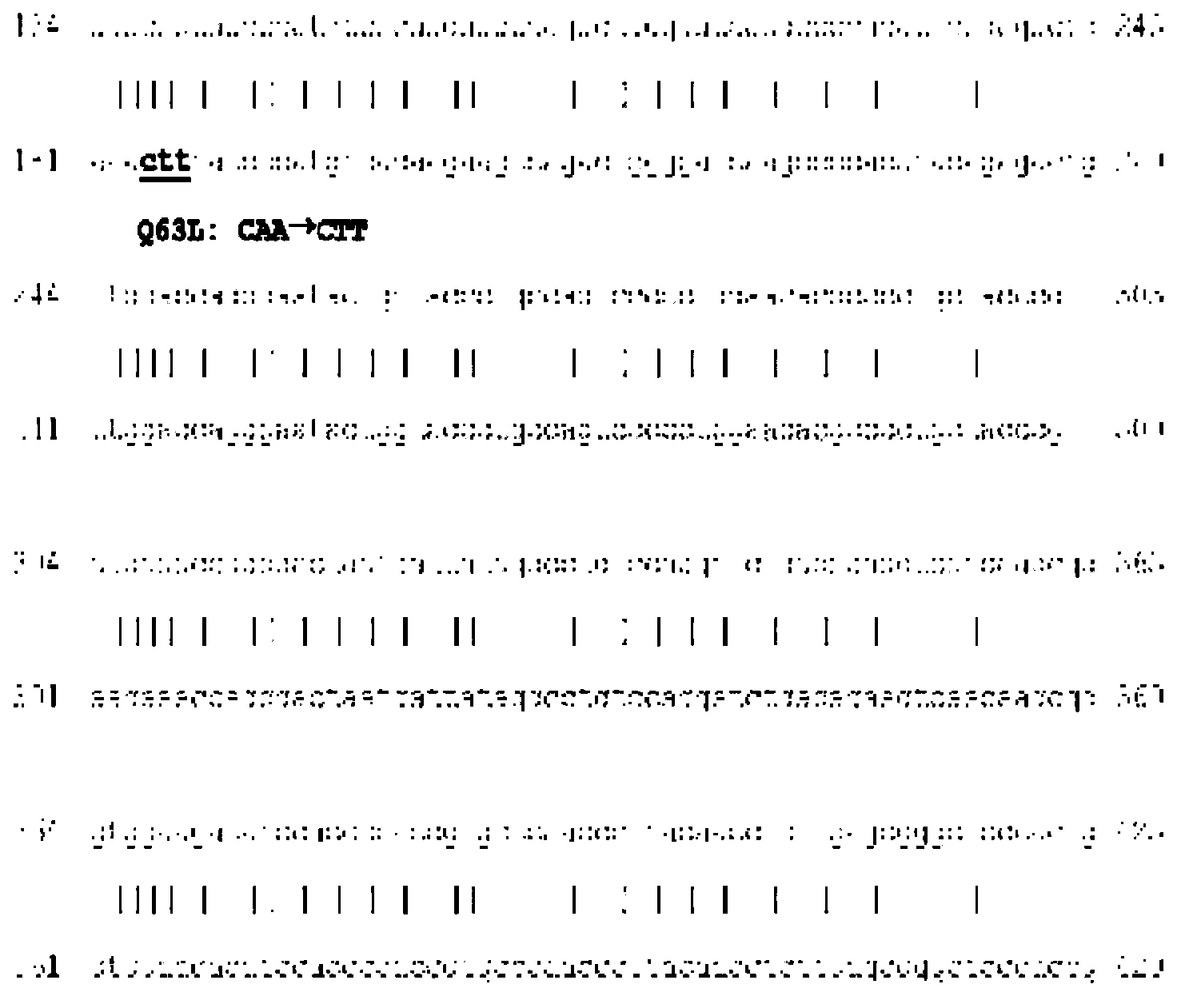 Reverse transcriptase having improved thermostability