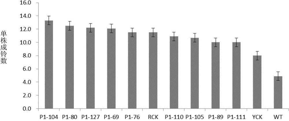 Resistance-related protein and encoding gene thereof, and application of resistance-related protein and encoding gene for regulating and controlling plant disease resistance