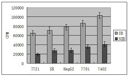 131i-labeled anti-vegfr2 chimeric Fab and its application