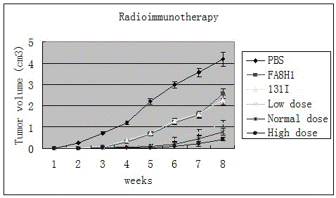 131i-labeled anti-vegfr2 chimeric Fab and its application