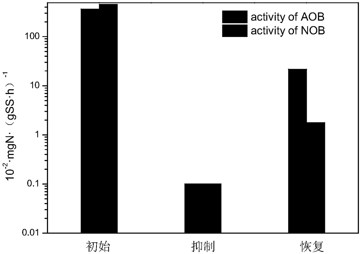 Device and method for starting and stably maintaining municipal sewage partial nitrification