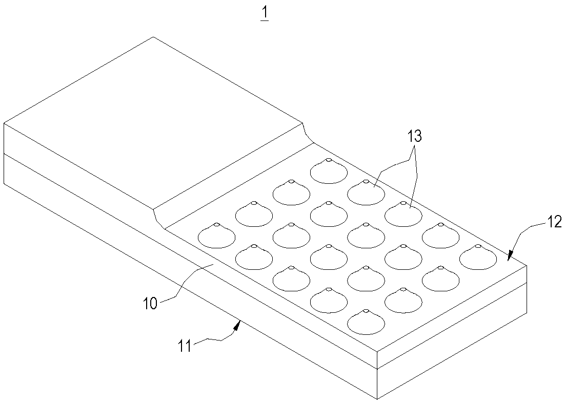 Heat pipes with non-condensable gases