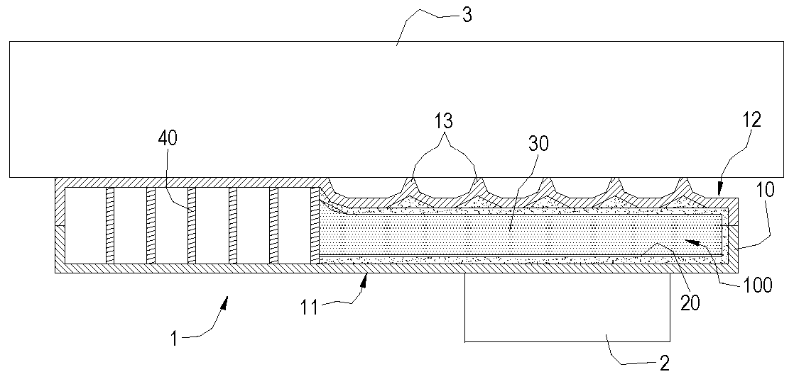 Heat pipes with non-condensable gases