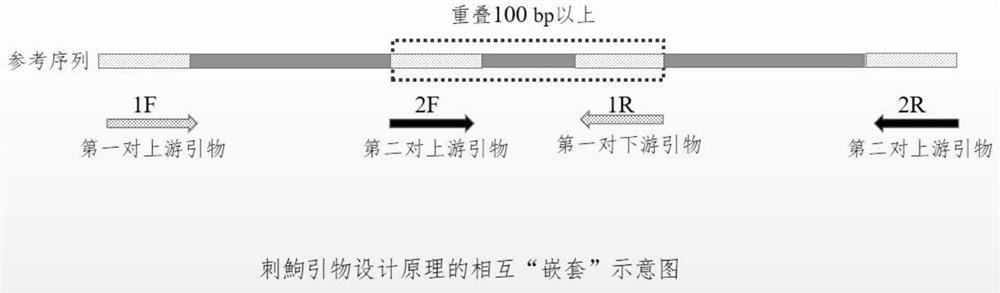 Primer design and amplification method of Acanthogobio guentheri mitochondrial genome complete sequence