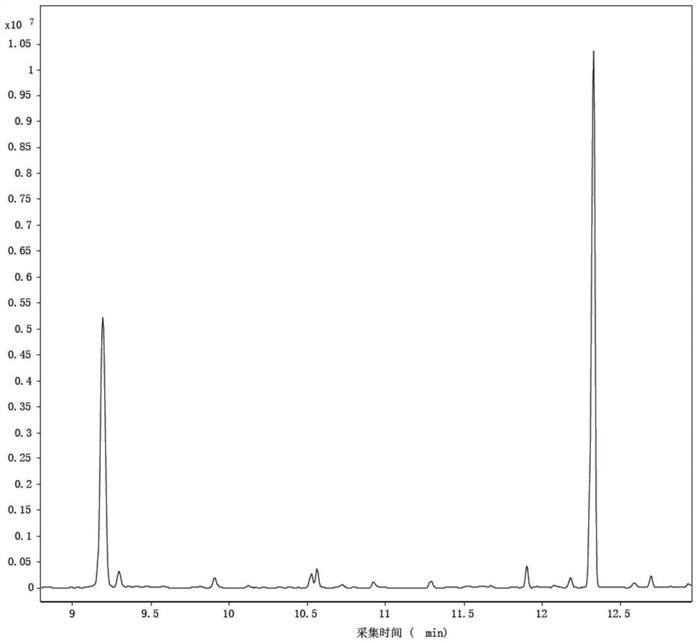 Pretreatment method for detecting geosmin substances in aquatic products