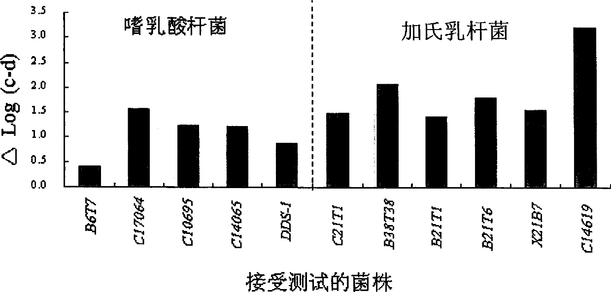 Acid and choline-resistant separated strain of lactobacoillus with ability of reducing and assimilating cholesterol