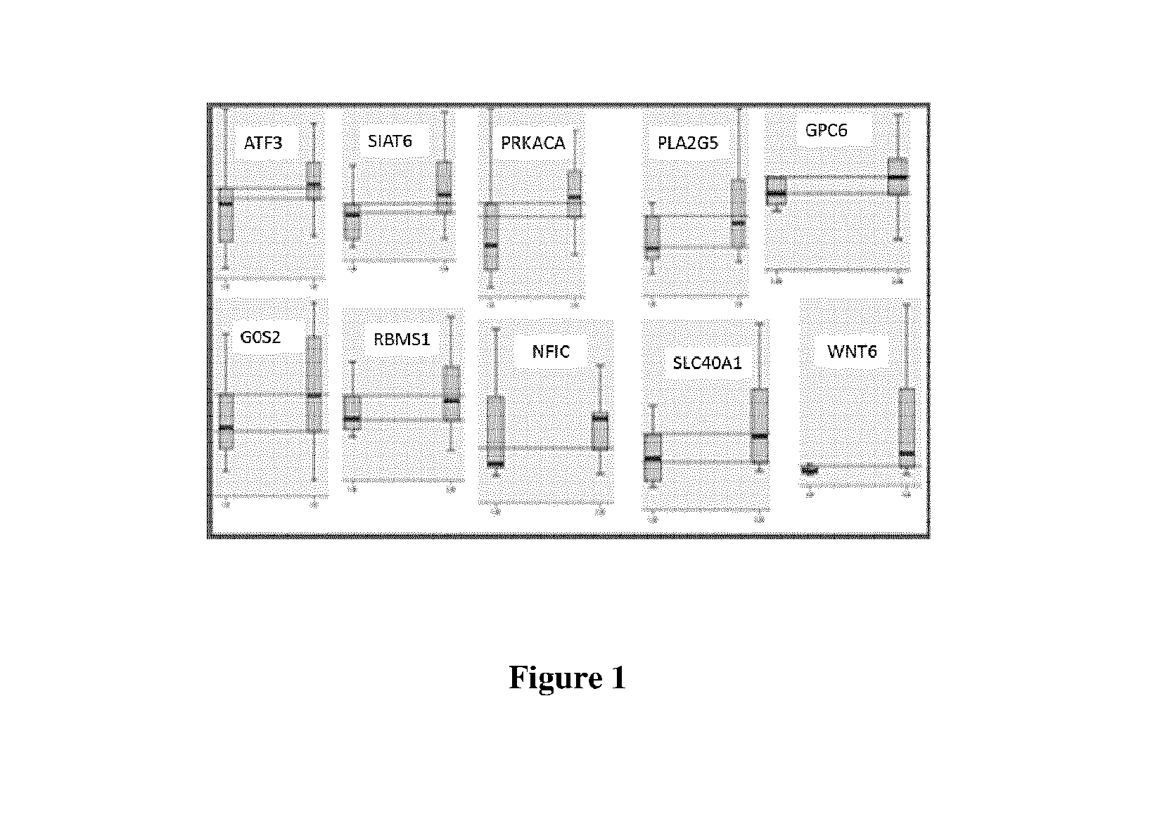 Methods for selecting competent oocytes and competent embryos with high potential for pregnancy outcome