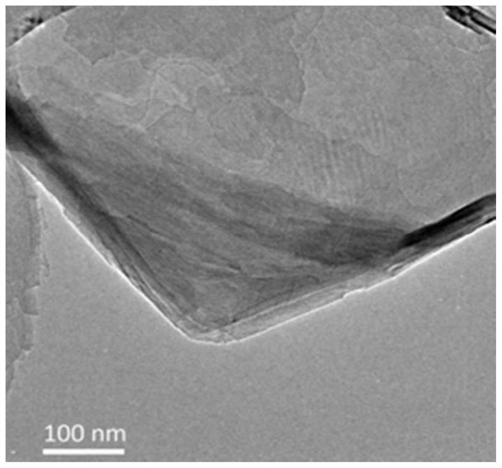 Modified carbon nanocone functionalized needle tip and preparation method thereof