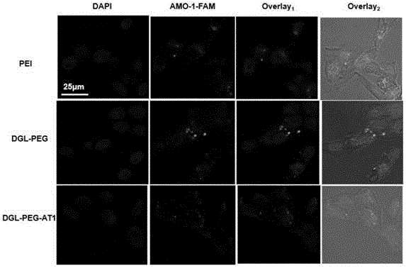 Biological targeting nano-gene material and manufacturing method thereof