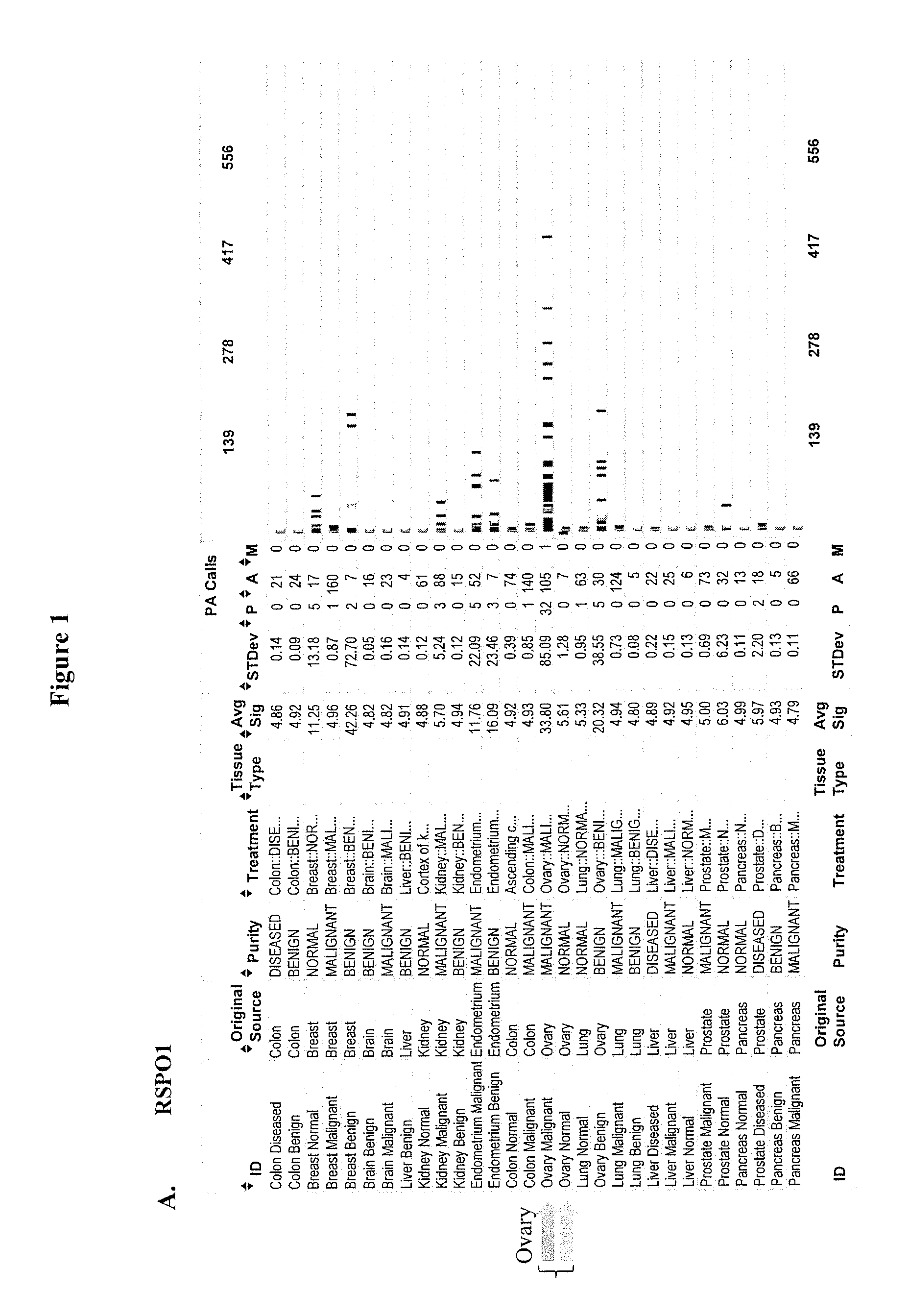 Rspo binding agents and uses thereof