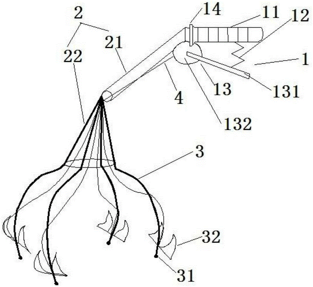 Harvesting device for gorgon fruits