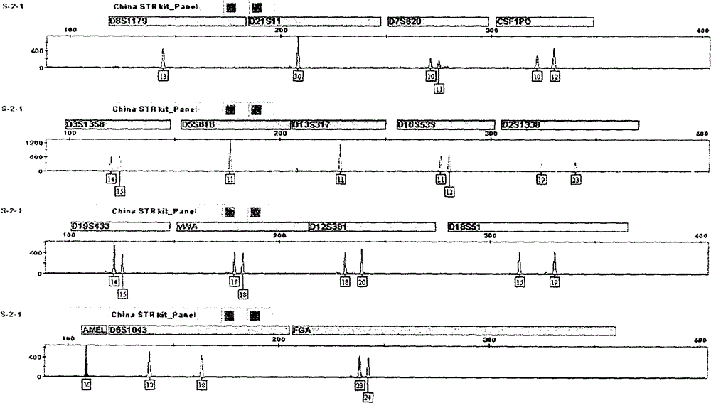 Compound amplification kit of 20 short tandem repeats