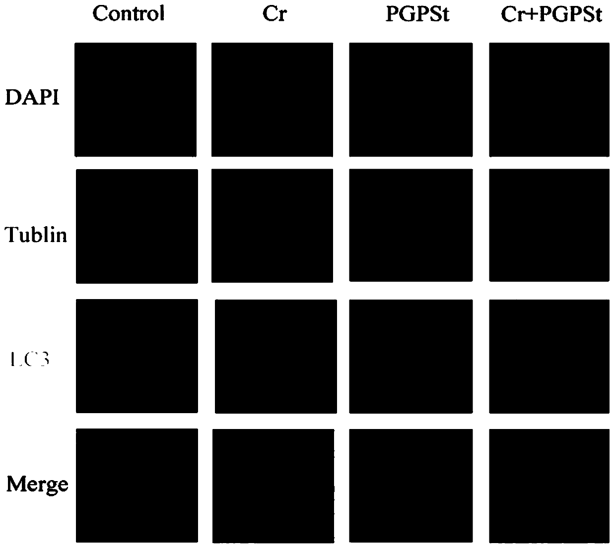 Application of platycodon grandiflorum(Jacq)A .DC polysaccharide for preparing medicine capable of treating cellular damage caused by Cr(VI)