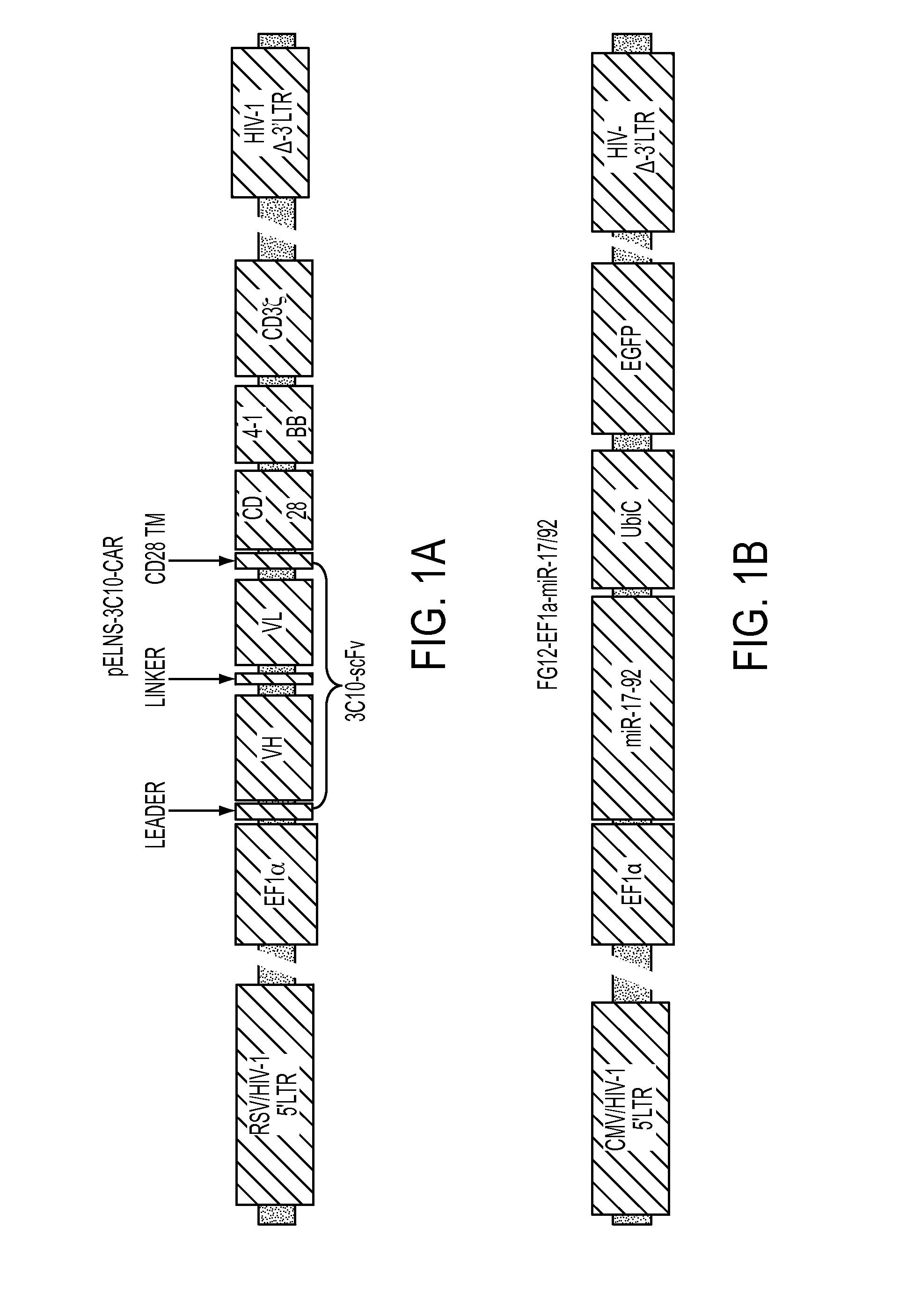 Treatment of cancer using humanized anti-EGFRvIII chimeric antigen receptor