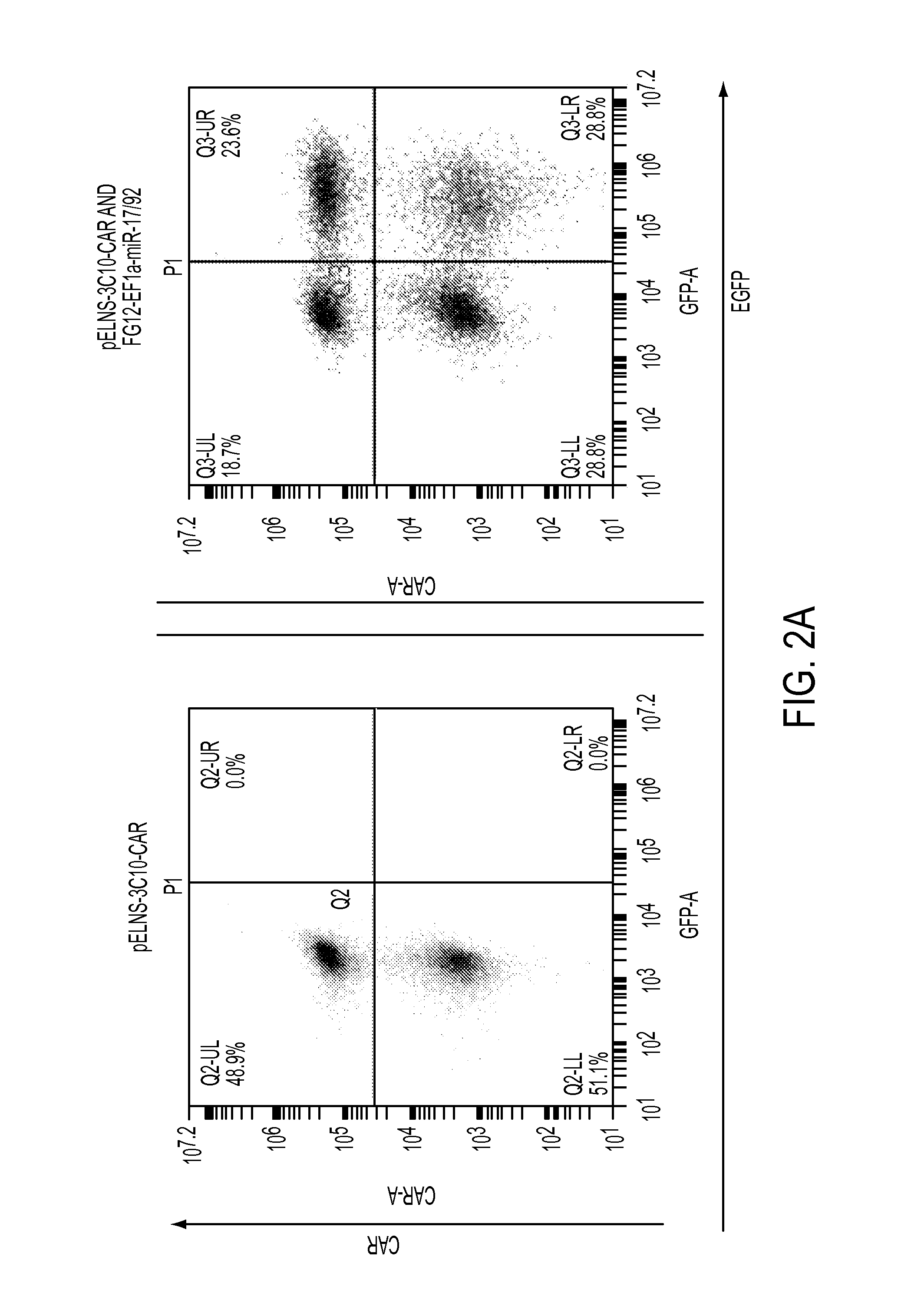 Treatment of cancer using humanized anti-EGFRvIII chimeric antigen receptor