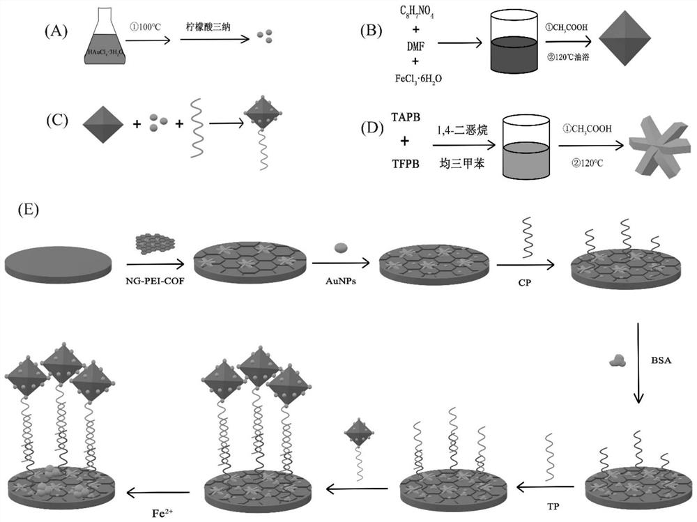 Preparation method and application of electrochemical biosensor for detecting NSCLC circulating tumor gene