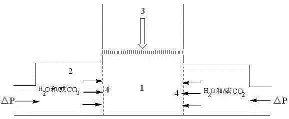 Preparation method of aluminum oxide carrier