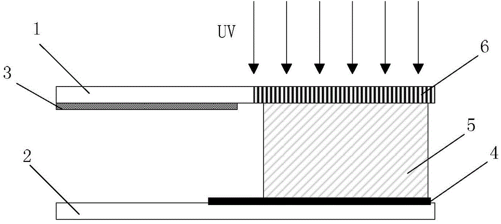 Display panel and display device