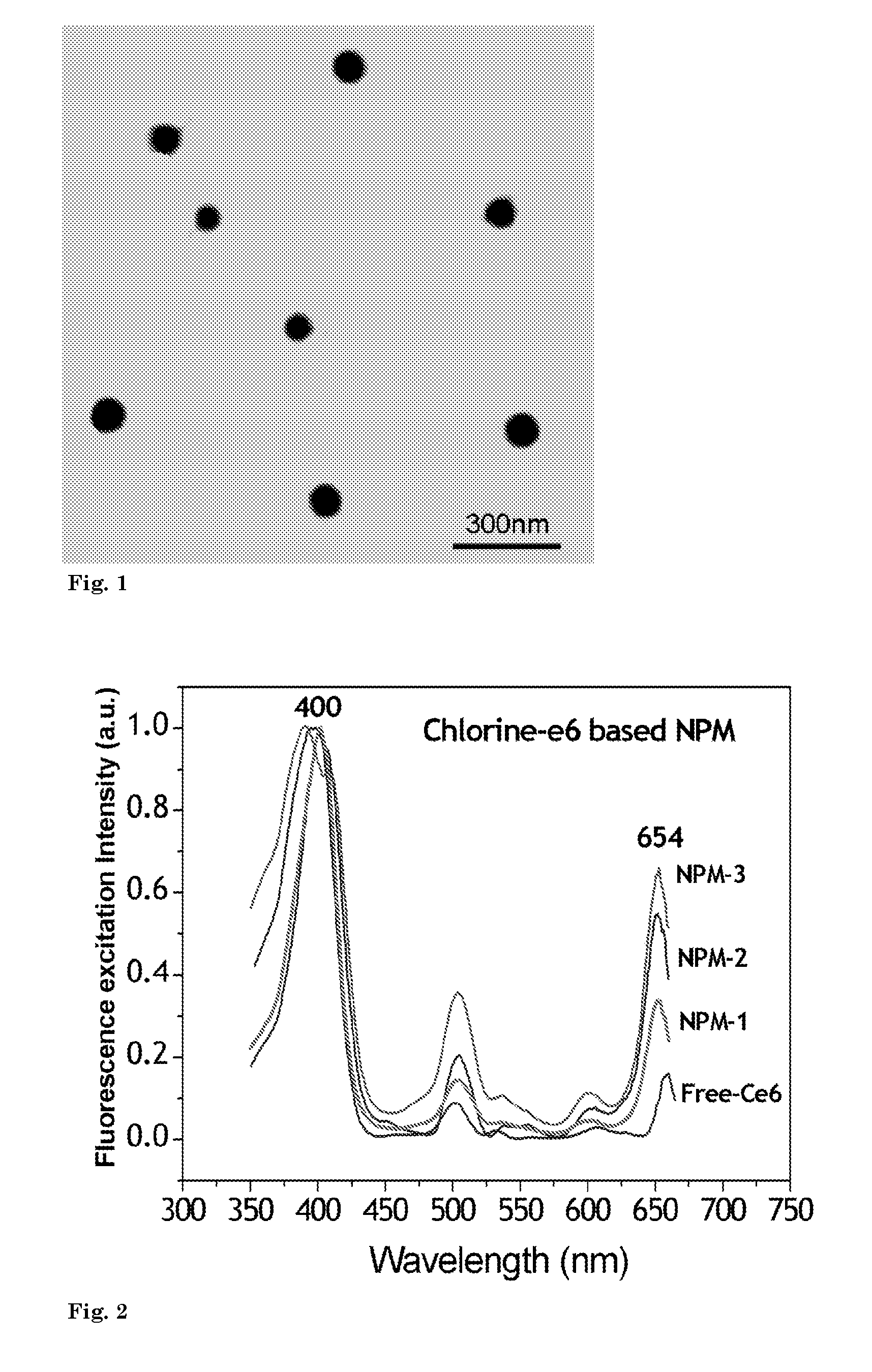 Targeted nano-photomedicines for photodynamic therapy of cancer