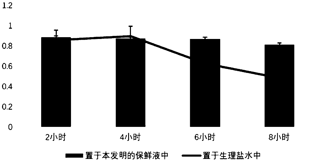 Primary isolation and culture method of human umbilical vein endothelium