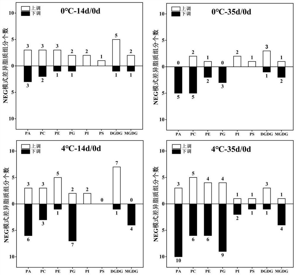 Method for identifying cold injury degree of peach fruits