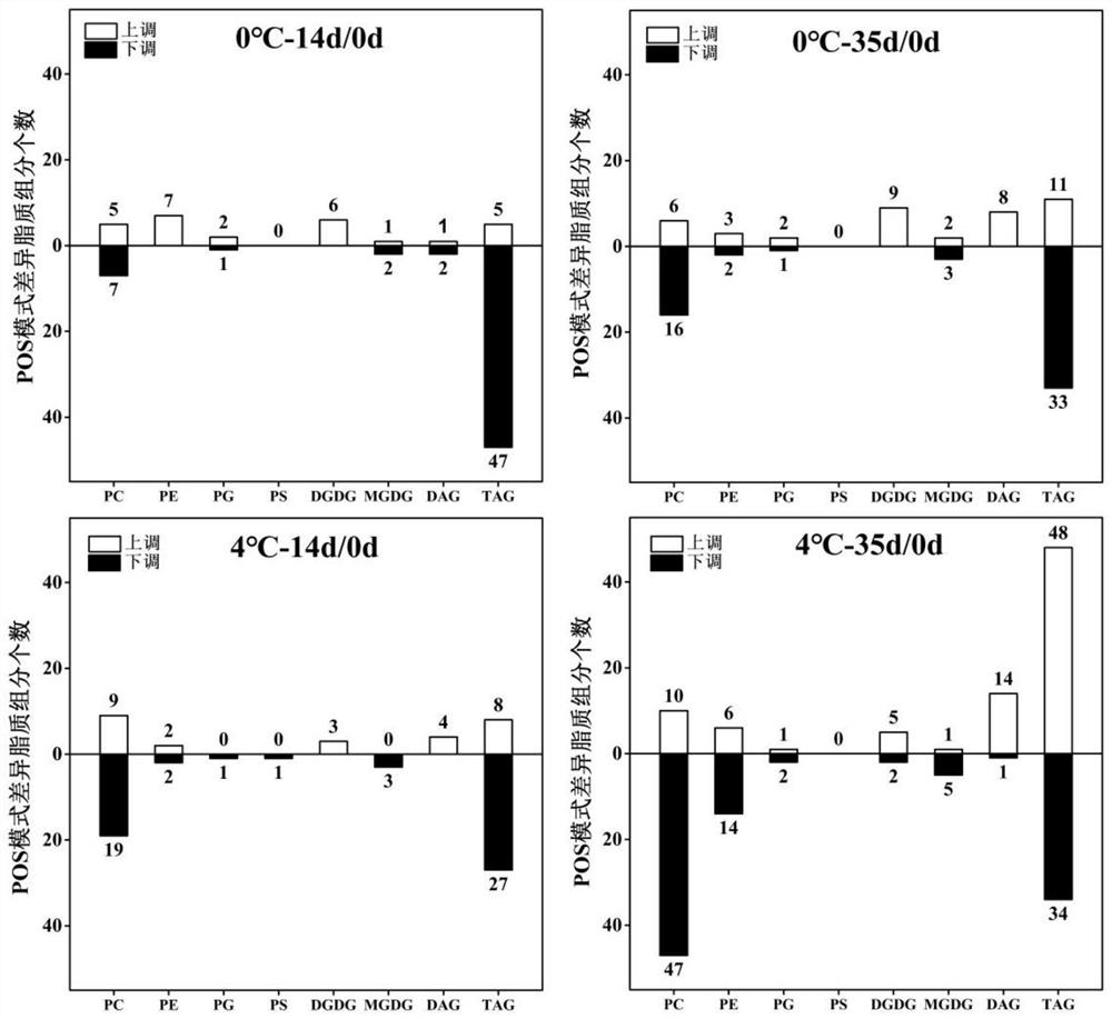 Method for identifying cold injury degree of peach fruits