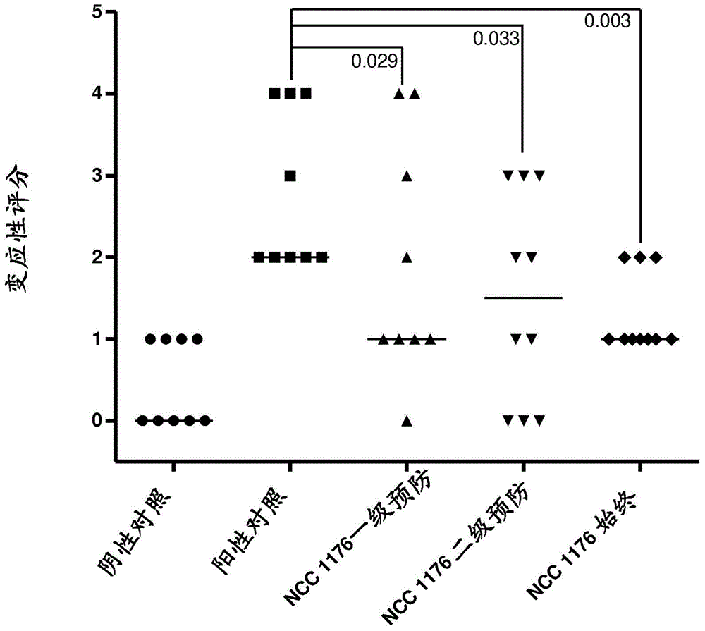 A composition comprising specific lactobacillus helveticus strains and reducing food and/or respiratory allergy symptoms